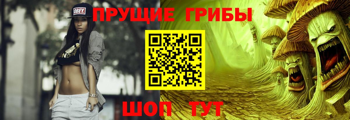 Омск  Галлюциногенные грибы Psilocybine cubensis  Галлюциногенные грибы мицелий  Вход с VPN 
